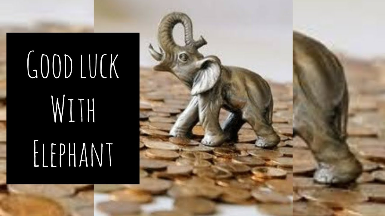 HOW TO PLACE ELEPHANT STATUE FOR GOOD LUCK