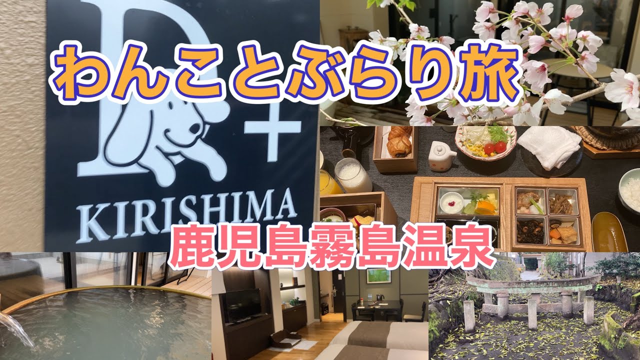 わんことぶらり旅　鹿児島霧島温泉　D+KIRISHIMA