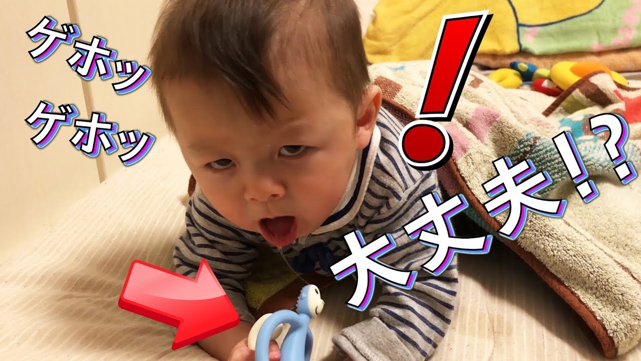 大丈夫！？赤ちゃん しぃしぃに新しいおもちゃあげたら大変なことにw【いおりくんTV 日常と休日】