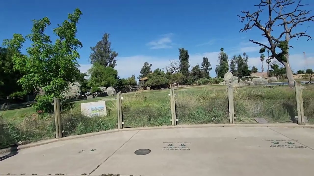 Kopje Lodge Restaurant with views of African Adventure at Fresno Chaffee Zoo. I don't own the music