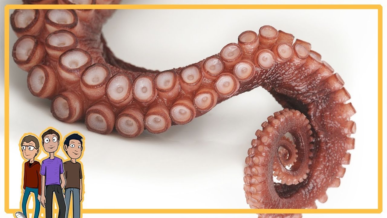 What if you had octopus arms? - Absurd Hypotheticals (PODCAST)