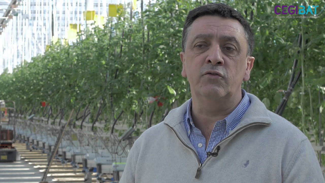 Production de chaleur dans une serre : la solution cogénération | Cegibat