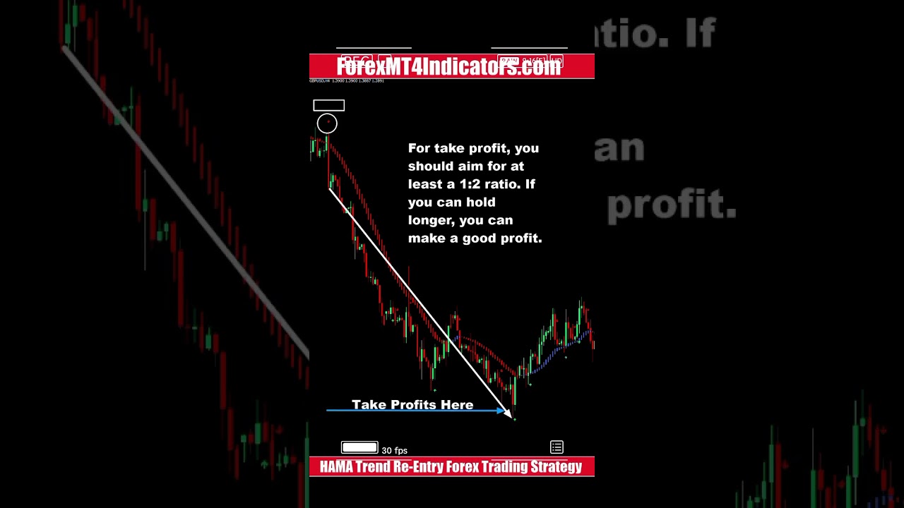 HAMA Trend Re-Entry Forex Trading Strategy