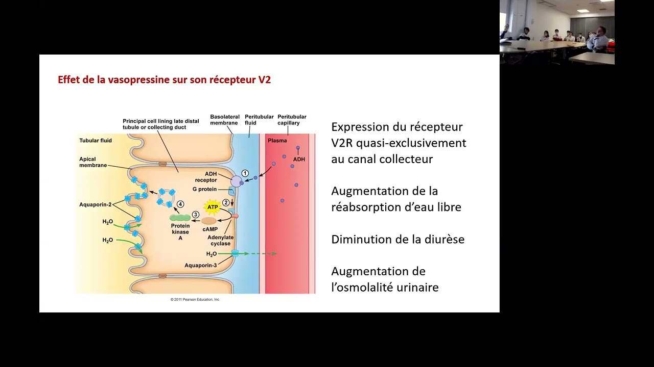 Hyponatrémie en dialyse péritonéale (Pr A FLAHAULT, Nancy)