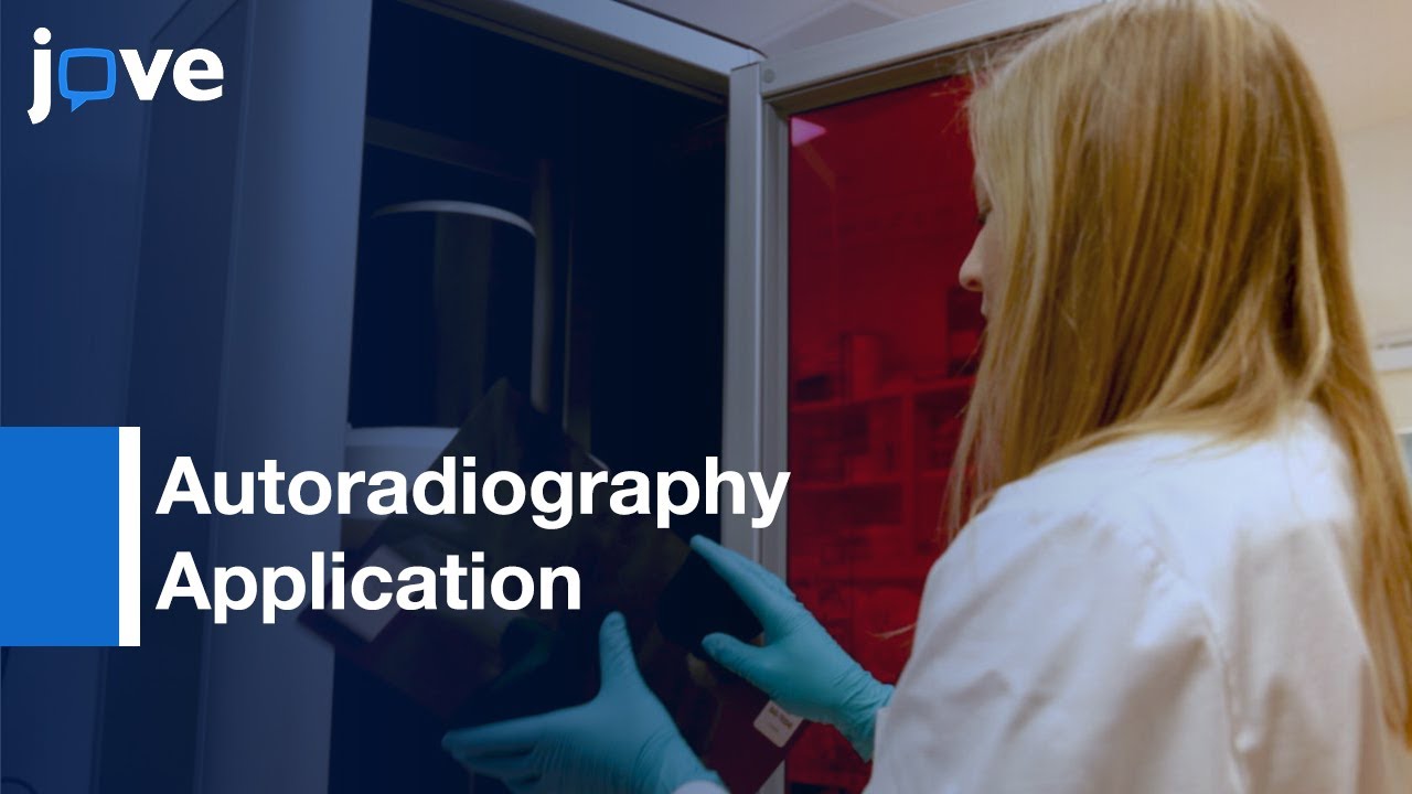 Autoradiography Application