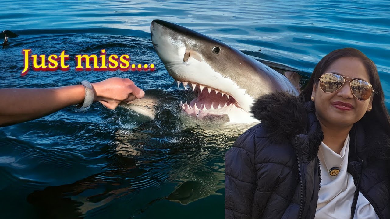 Palma Aquarium Tour Just miss bite #joyfamilyclub #tamil #shark #aquarium #mallorca #palma #tourist