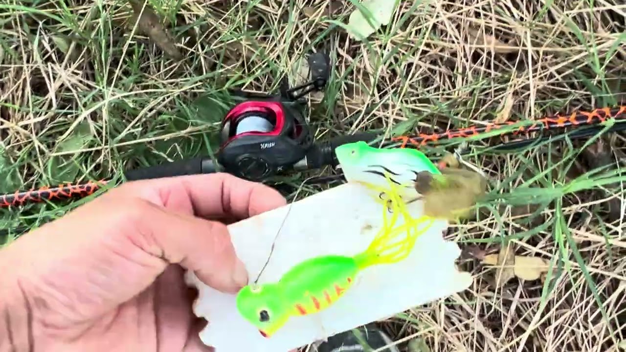 PESCA EN EL LAGO DE EZEIZA MUCHA ACTIVIDAD DE LOS PECES 