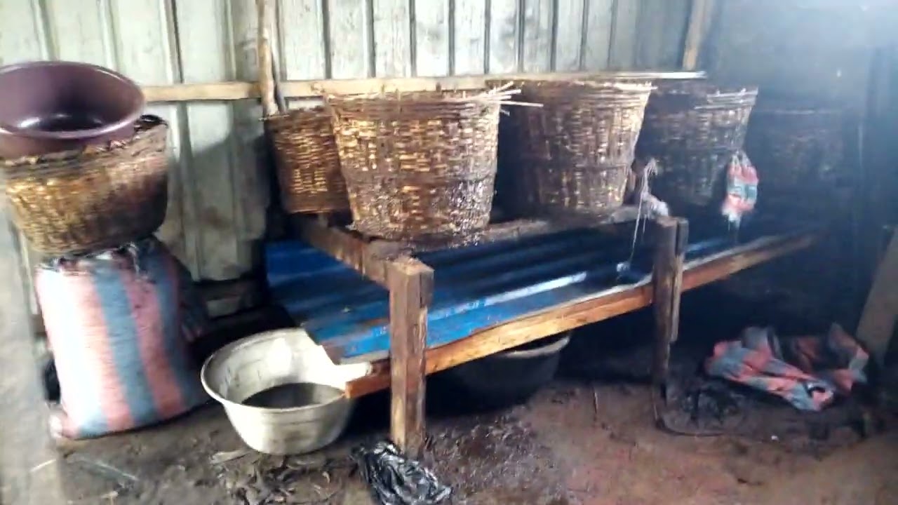 Le plus grand producteur d'huile palmistes au Togo 2