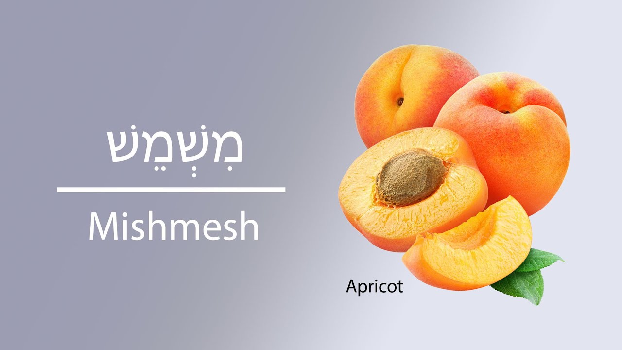 How to Say Fruits and Vegetables Names in Hebrew