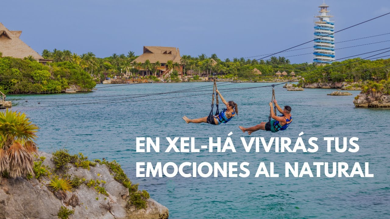 Xel-H&aacute; ahora es m&aacute;s accesible que nunca &iexcl;Desc&uacute;brelo!