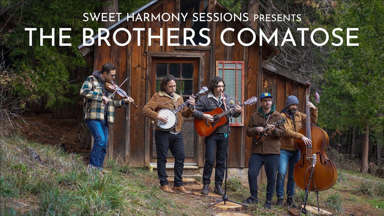 The Brothers Comatose | Too Many Places | Sweet Harmony Sessions