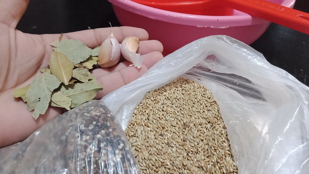 ما أقوم به بعد شراء البذور حفاظا على سلامة طيوري من الأمراض