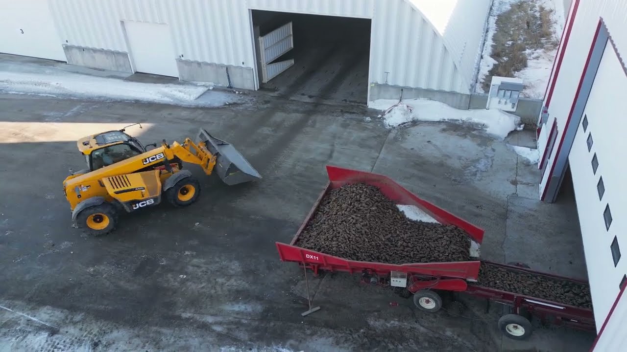 Shipping potatoes at CP Farms