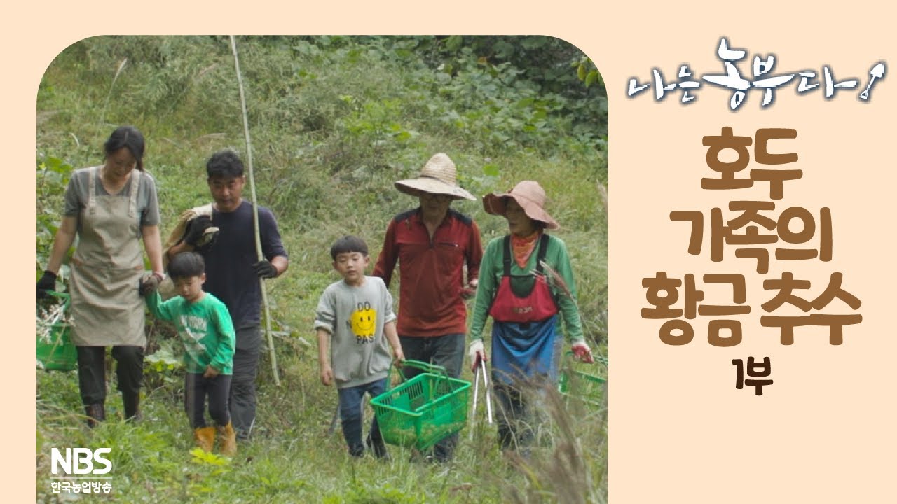 [나는농부다 219회 1부] 호두 가족의 황금 추수