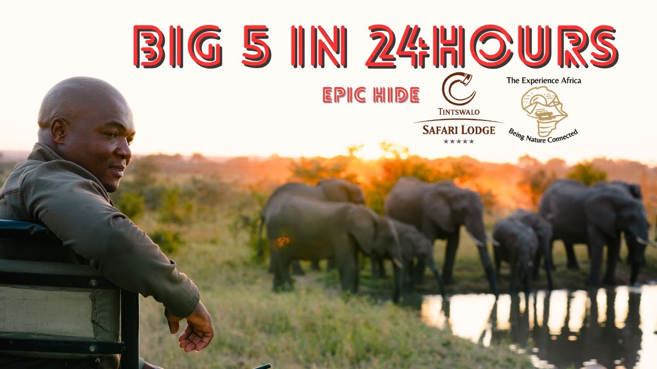 Tintswalo Safari Lodge //  5 Star Kruger Park Lodge (REVIEW)