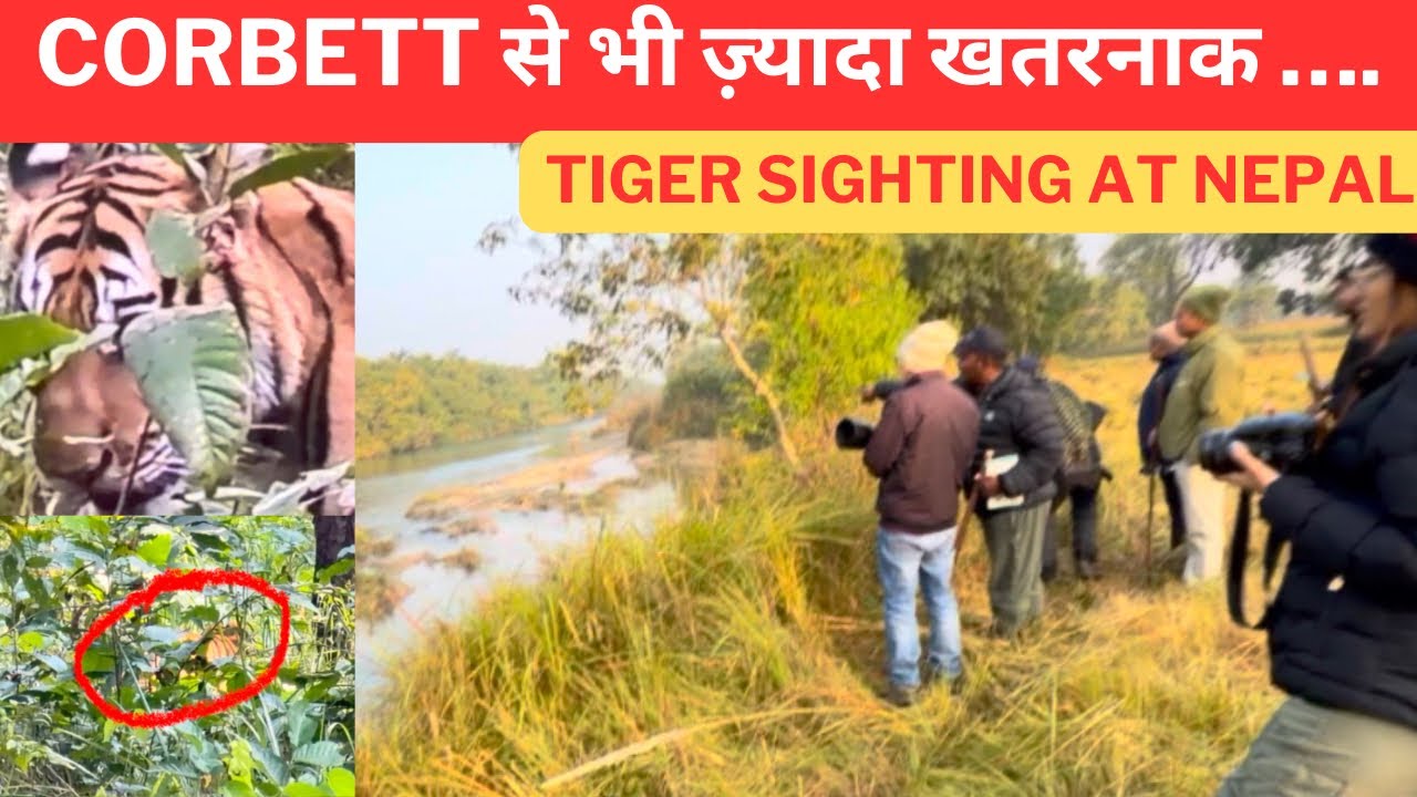 JIM CORBETT से भी ज़्यादा खतरनाक‼️Tiger Sighting | Bardiya National Park Nepal