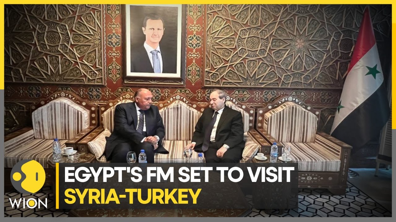 Egyptian FM in Syria, set to visit Turkey for first time in over a decade | Latest English News |