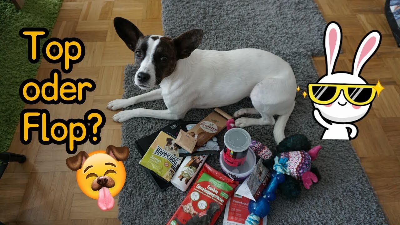 Aufgebraucht // Top oder Flop? // Hundeedition