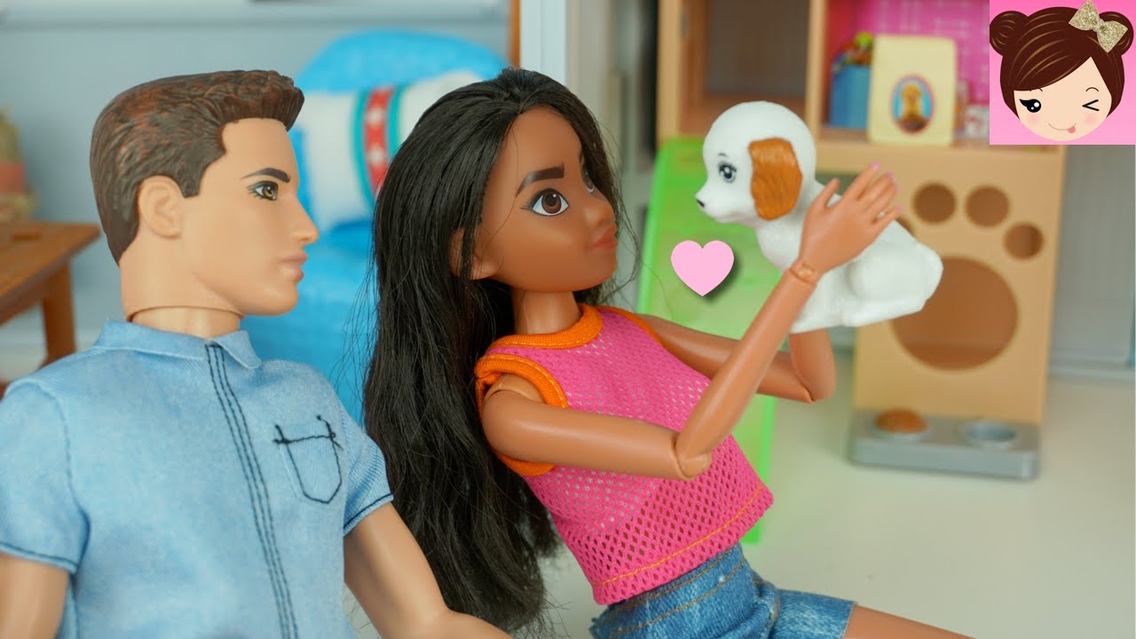 Disney Moanas boyfriend Gives her a Surprise Puppy + Moanas New Apartment Tour - Titi Dolls