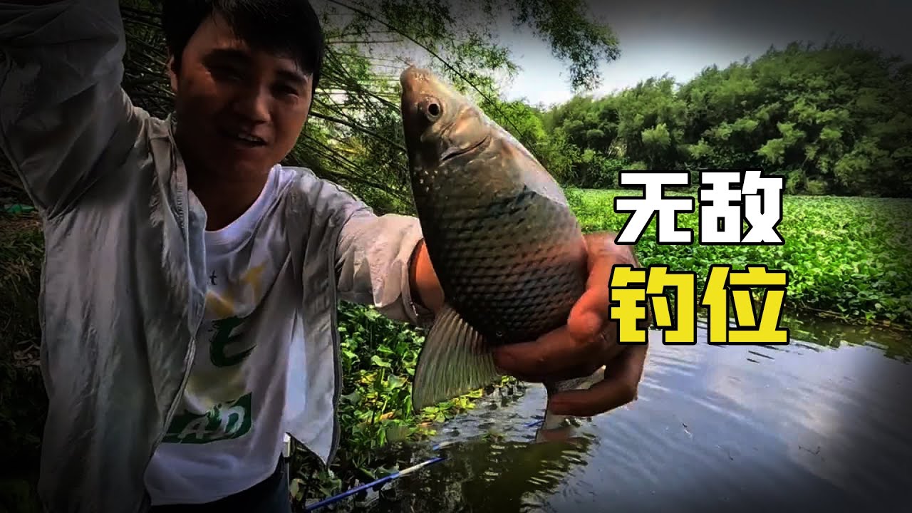 【野外釣魚】風吹不到雨淋不到的神仙釣位，卻很少有人來釣魚，竟然是因為這個？
