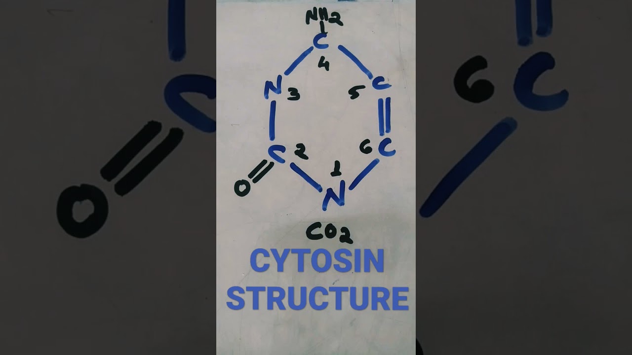 CYTOSINE STRUCTURE