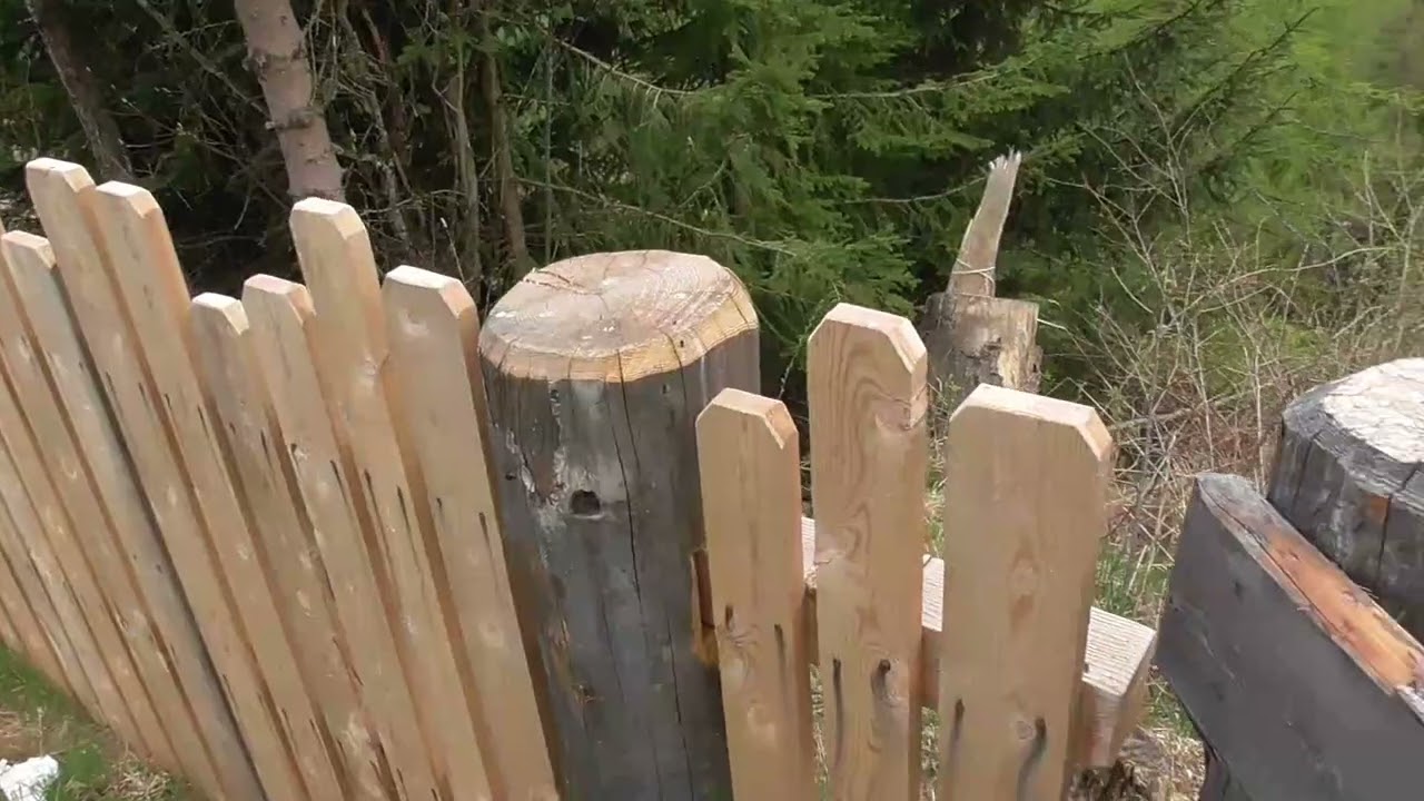 мой выходной. 28.04.2024 сьемка камерой