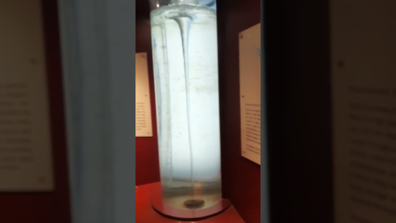 Science Miracle : 