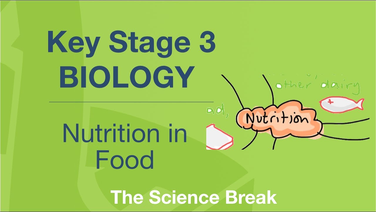 Key Stage 3 Science (Biology) - Nutrition in Food