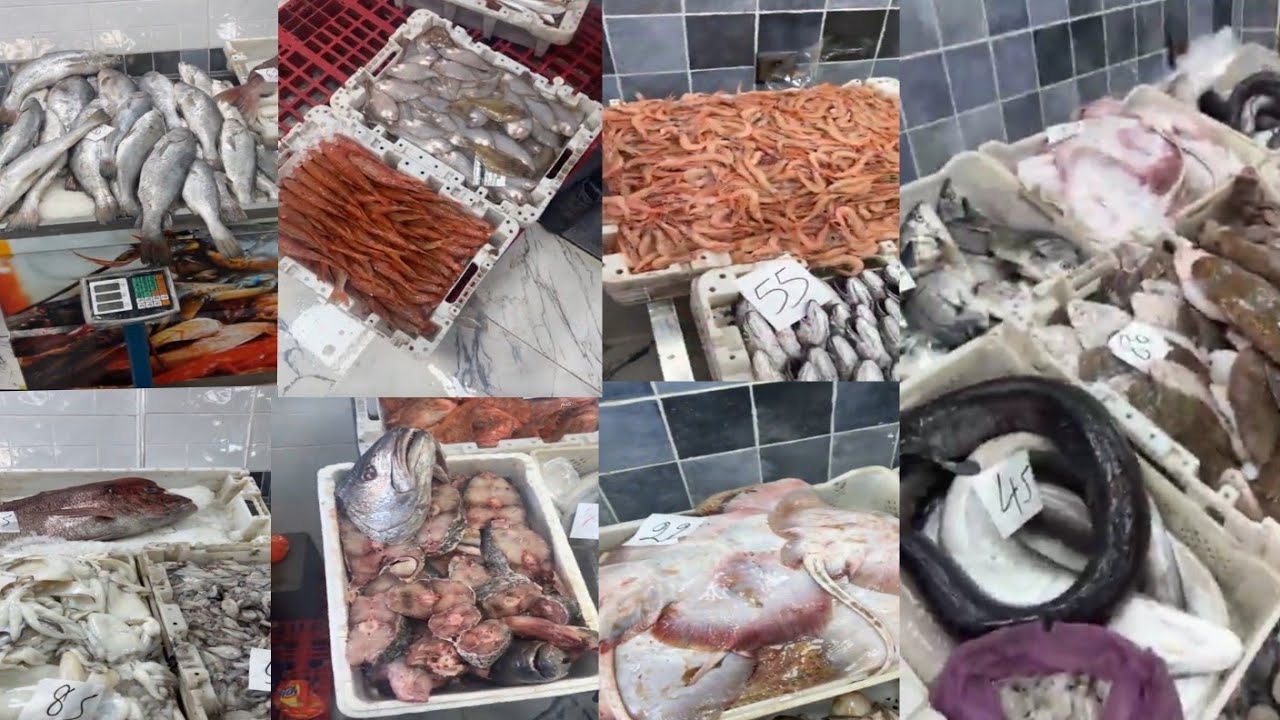 ثمن السمك بالمغرب🐠🦐اليوم الاربعاء 18 مارس2026#المغرب🇲🇦#سوق_المغربPoisson de qualité à prix abordable