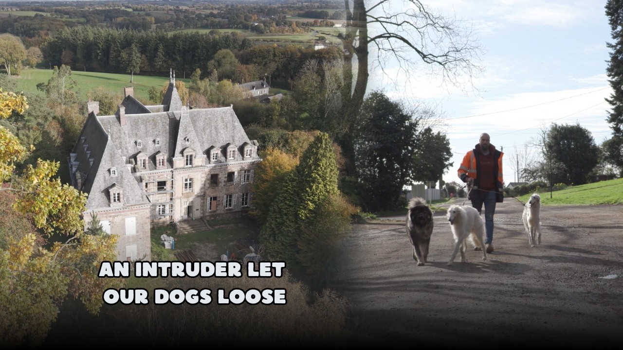 A Disturbing Intruder Keeps Coming Back to Our Château...