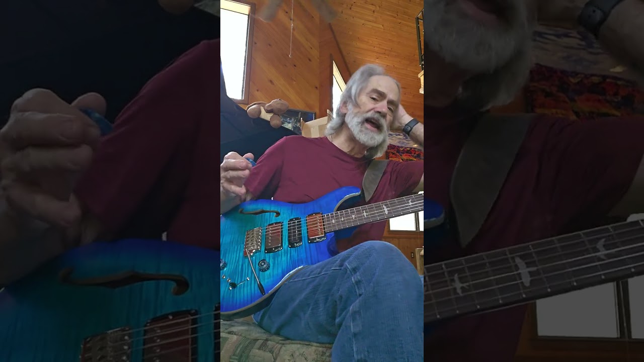 PRS Special SE Semi-Hollow  Demo Clean&Wet [jdAdamson.com]