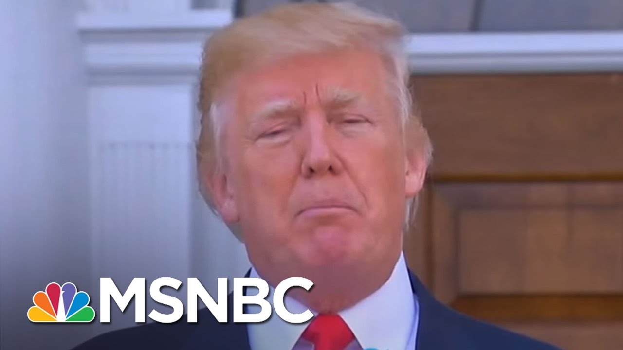 32 Tweets That Encapsulate President Donald Trump's First Year | Morning Joe | MSNBC