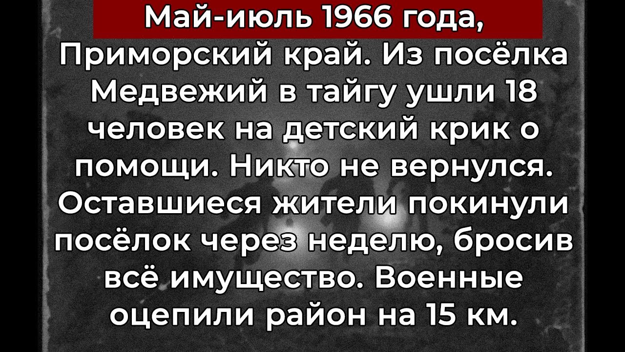 В тайге 2 месяца слышали детский плач  Те, кто шёл на голос, не возвращались