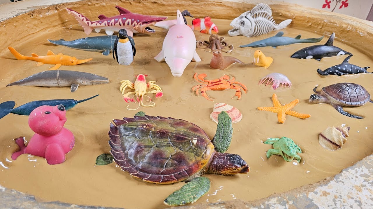 The Magical Sea Creatures Sandbox: An Exciting Marine Adventure in the Sand!