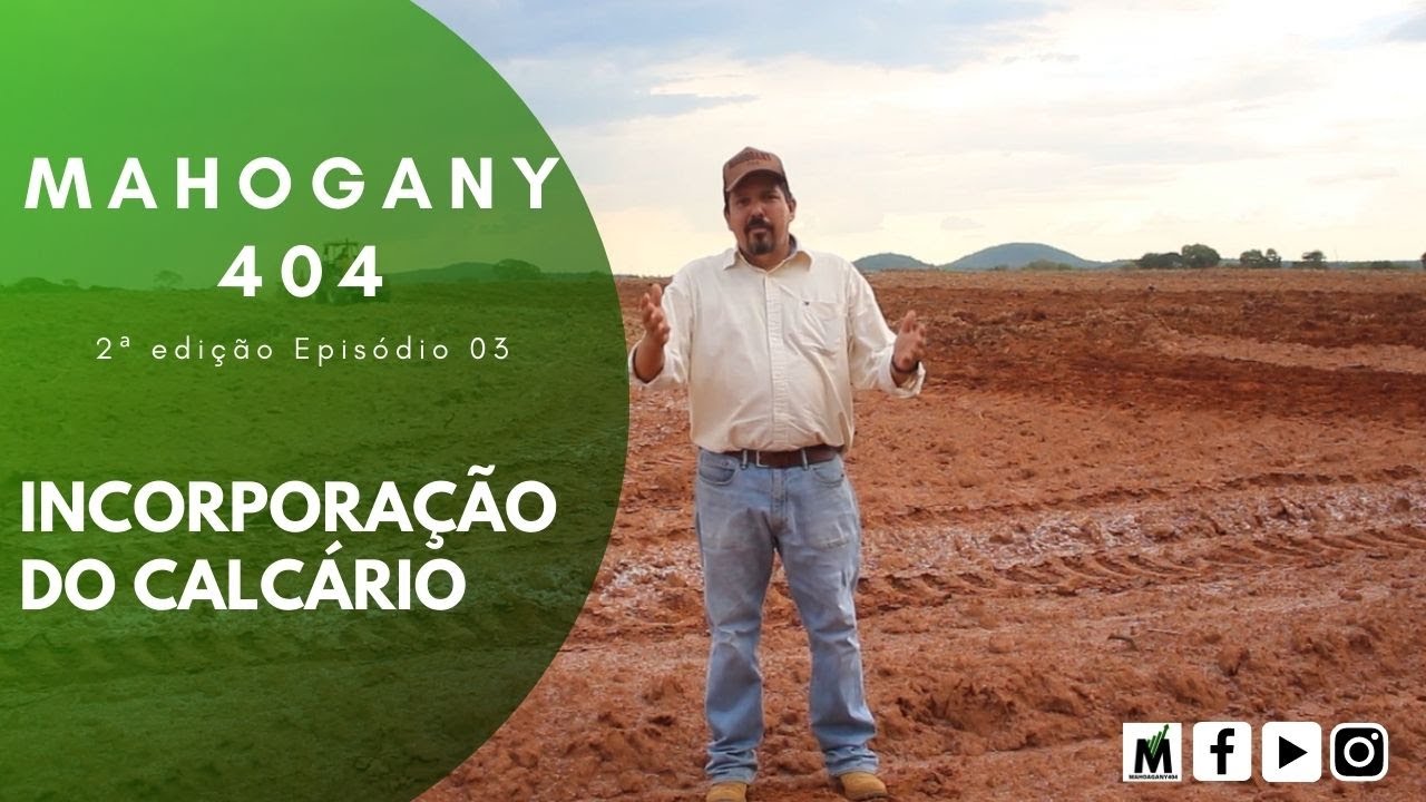 MAHOGANY 404 | 2&ordf; EDI&Ccedil;&Atilde;O - APLICA&Ccedil;&Atilde;O DE CALC&Aacute;REO - EPIS&Oacute;DIO 3
