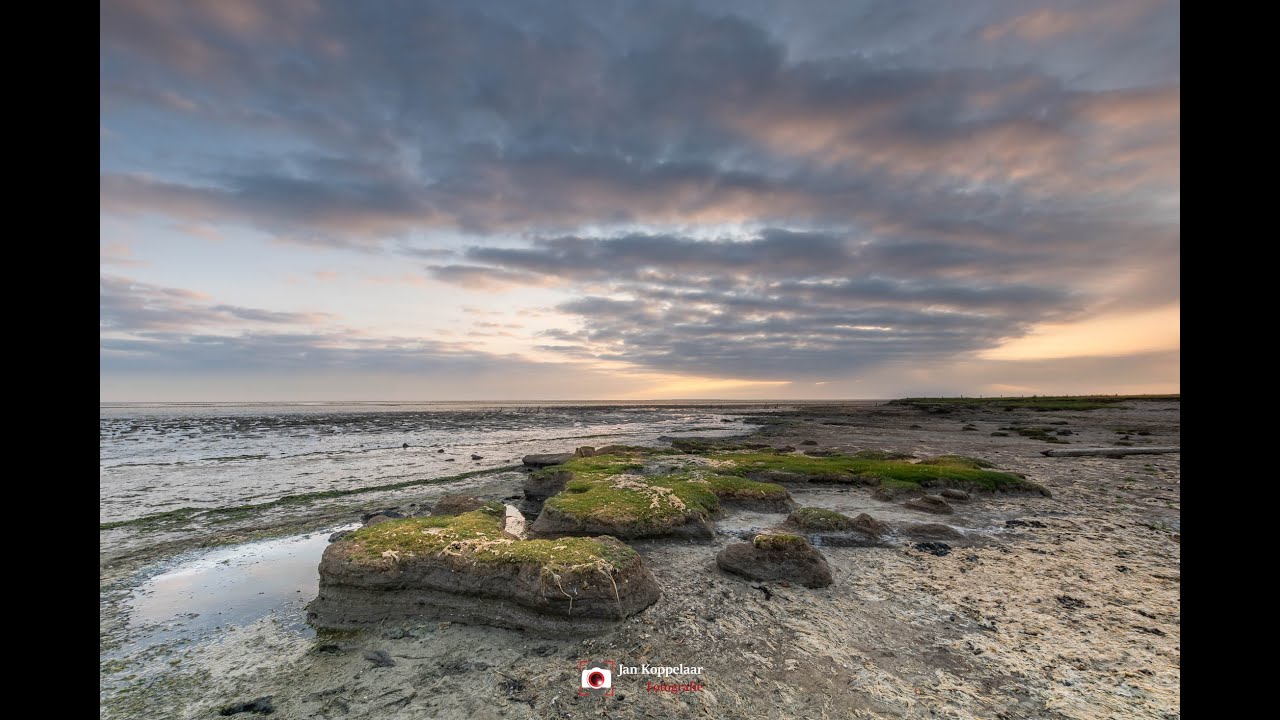 The making of...Waddenzee