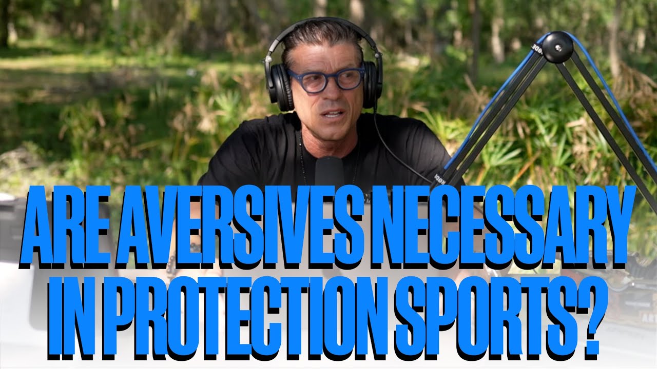 ARE AVERSIVES NECESSARY IN BITE SPORTS? || Ivan Balabanov and Nick Benger on the TWC Podcast