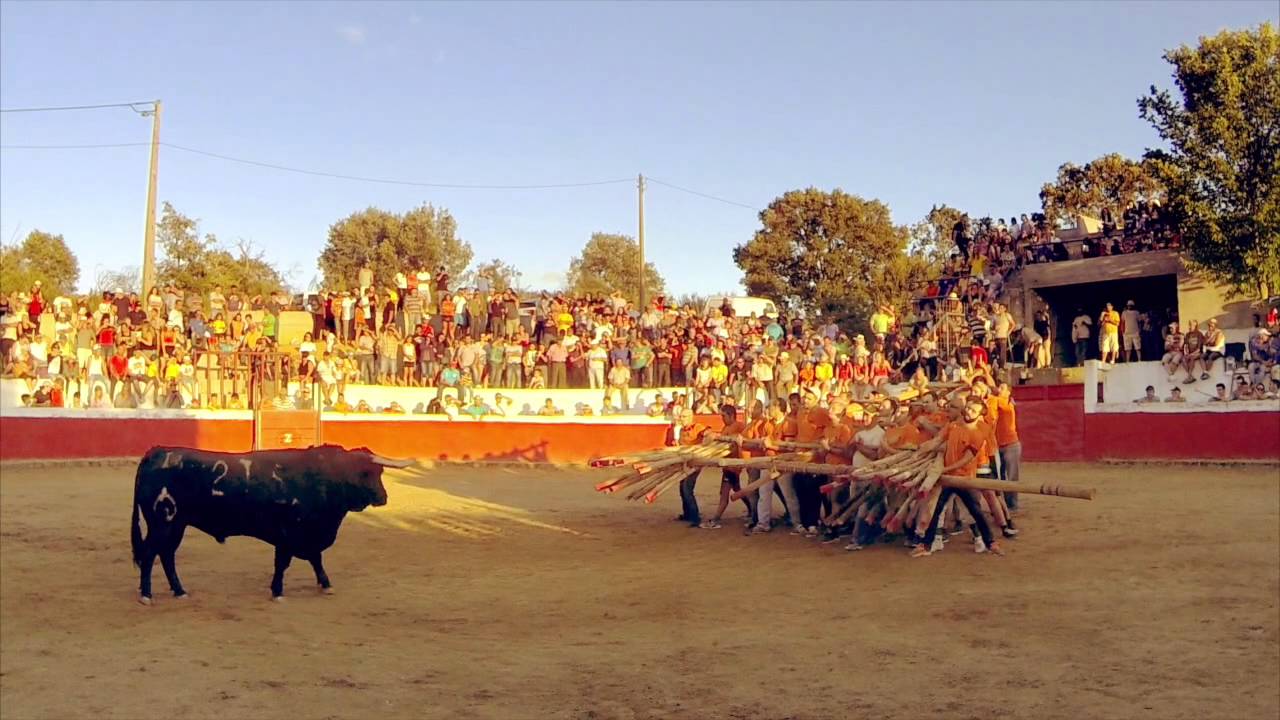 Ozendo 2015 // 2 Últimos Toiros da Capeia