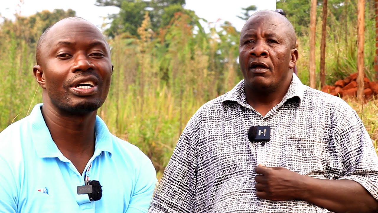 Kino kikambwe muzei magala aleese bwiino omuzibu birimu okubba ettaka abantu baswadde misana ttuku