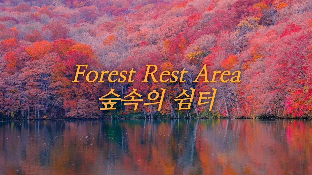 Forest Rest Areaㆍ슾속의 쉼터 3회 반복 #경음악 #휠링 #감성 #instrumental music #치유음악#Natural healing #Self-healing 