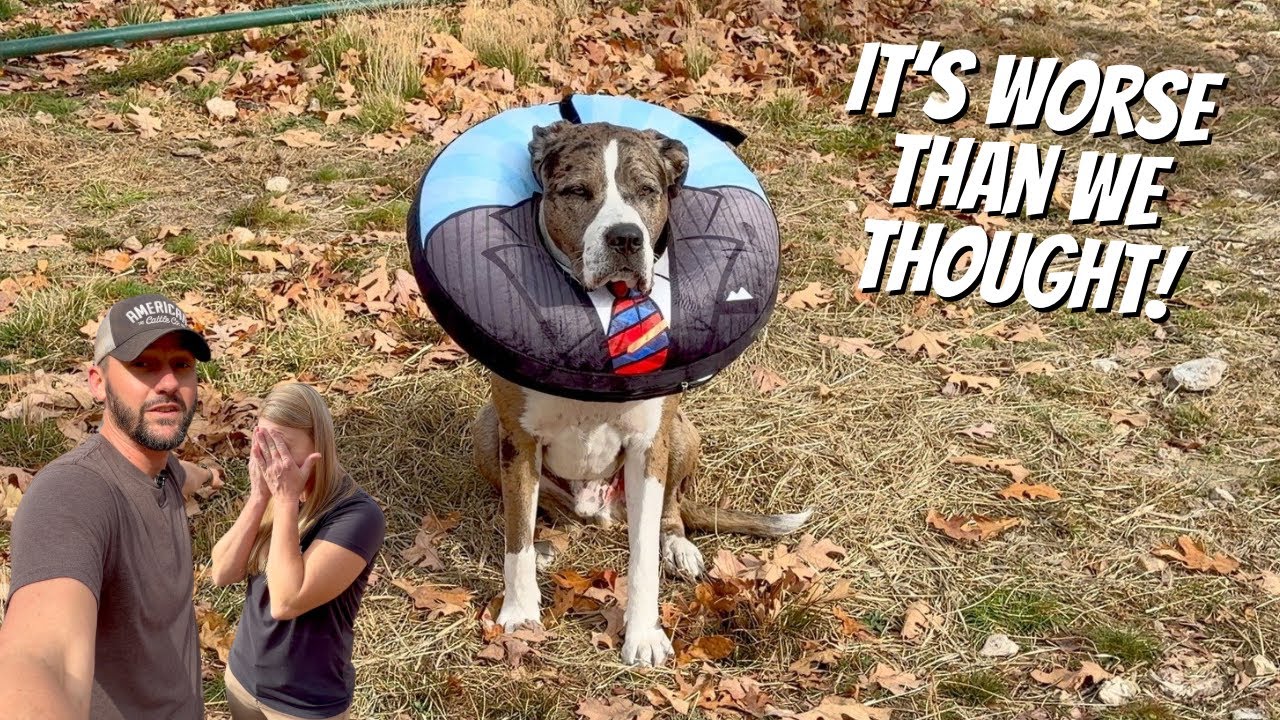 Мы НИКОГДА не ожидали, что ЭТО произойдет!