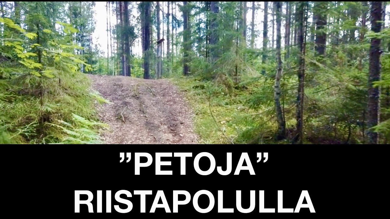 KARAVAANARI RIISTAPOLULLA, matkalla pohjoiseen