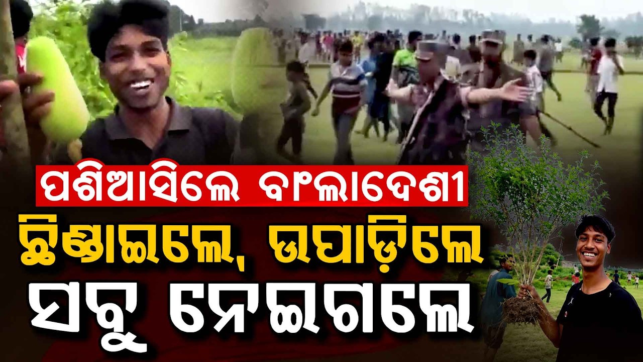 ଭାରତ ସୀମାରେ ବାଂଲାଦେଶୀଙ୍କ ଉତ୍ପାତ | India-Bangladesh Border Tension | Hundreds Cross Border