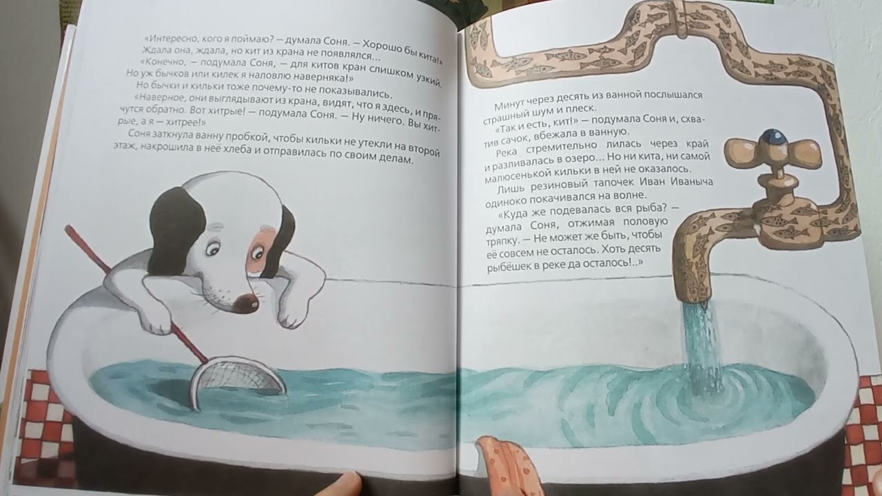 Умная собачка Соня. Как Соня устроила рыбалку