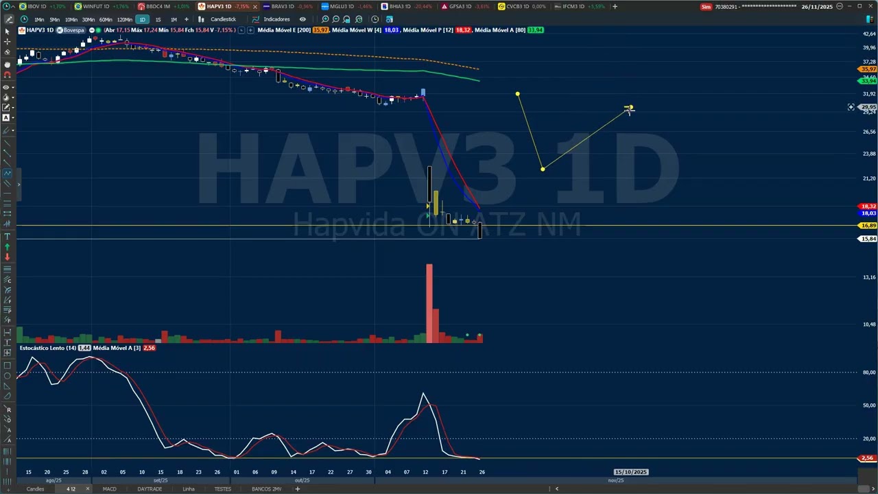 AN&Aacute;LISE T&Eacute;CNICA HAPV3