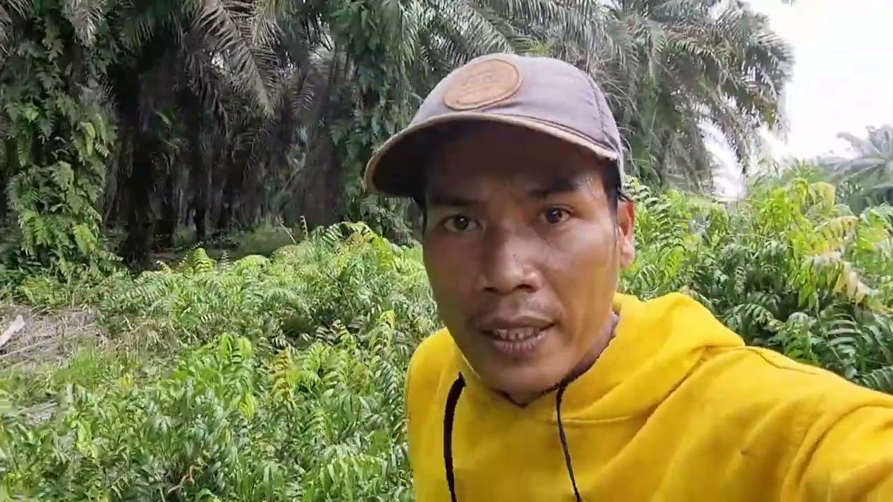 Nerbas dan cari ikan dapat nya kurah kurah