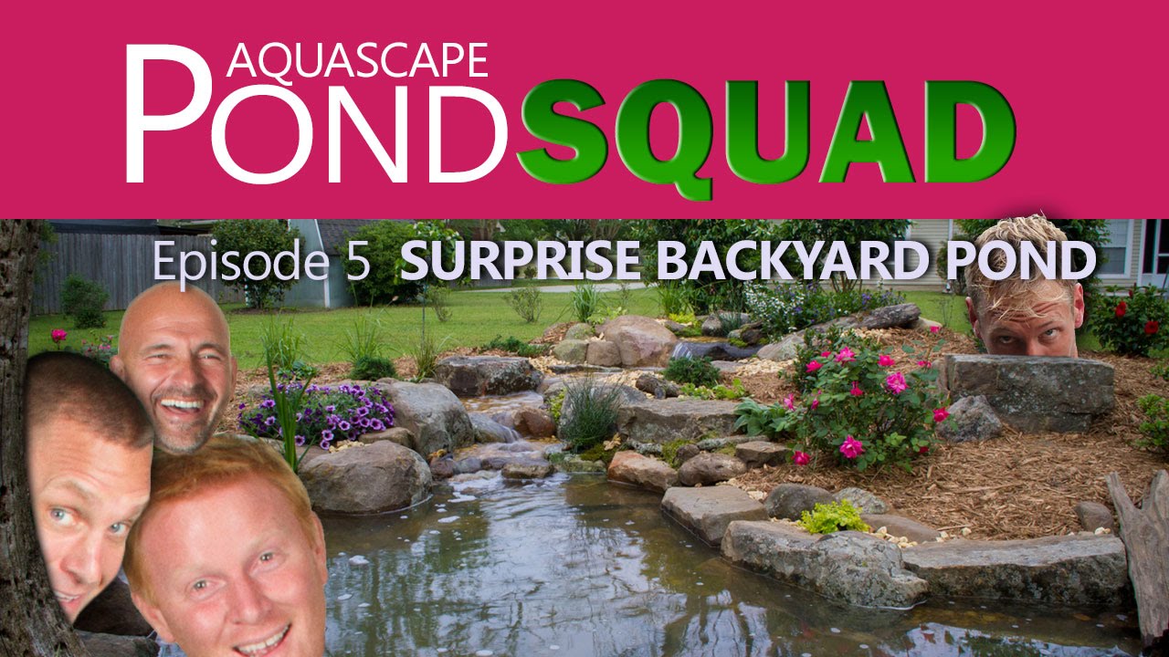 Aquascape Pond Squad - Surprise Backyard Pond - Episode 5