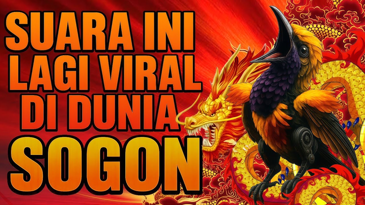 Suara Ini Lagi Viral di Dunia Sogon!! Bikin Sogok Ontong Langsung Gacor & Ngeroll Tanpa Henti 🔥