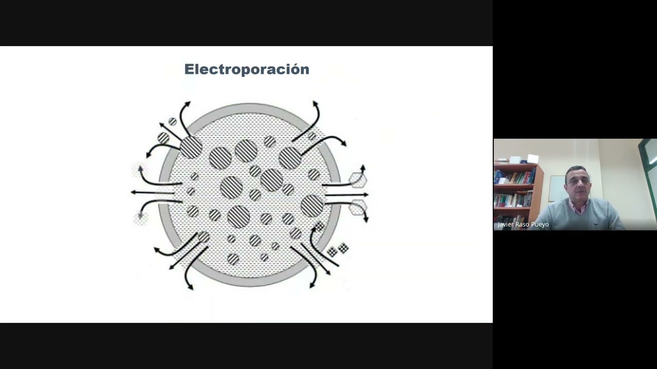 Webinario ICTAL - 15/01/2026