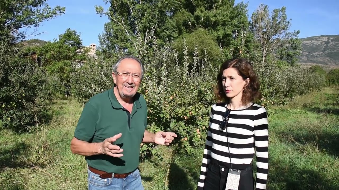Cultivo ecológico de manzana para sidra